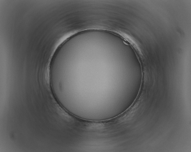 X0000116581238200912241648