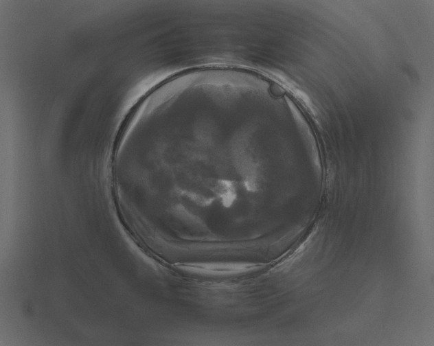 X0000116581239200912241648