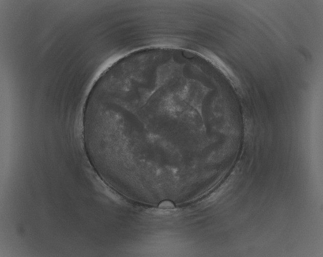 X0000116581240200912241648