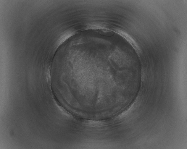 X0000116581241200912241648