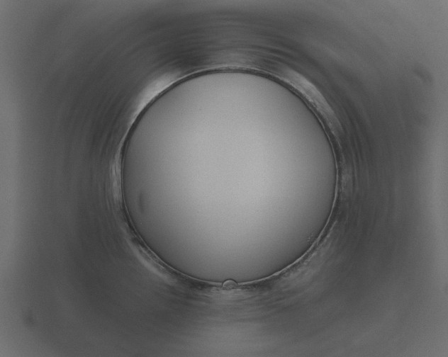 X0000116581242200912241648