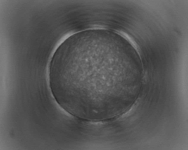 X0000116581243200912241648