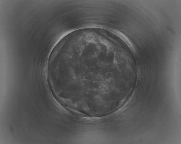 X0000116581244200912241648