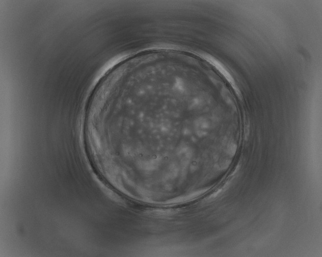 X0000116581245200912241648