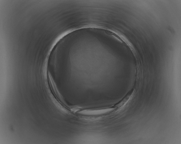 X0000116581246200912241648