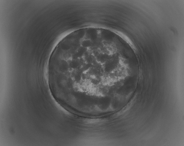 X0000116581247200912241648