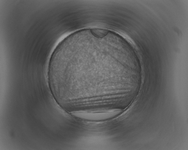 X0000116581248200912241648