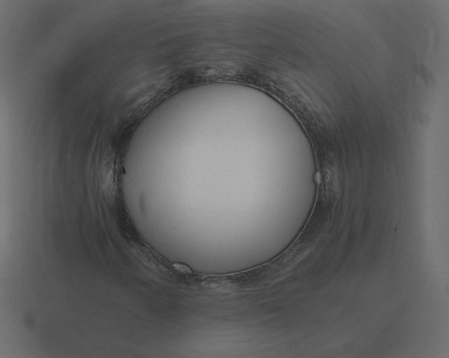 X0000116581250200912241647