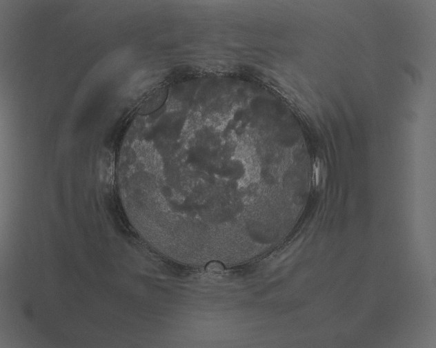 X0000116581251200912241647