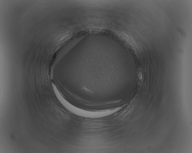 X0000116581252200912241647