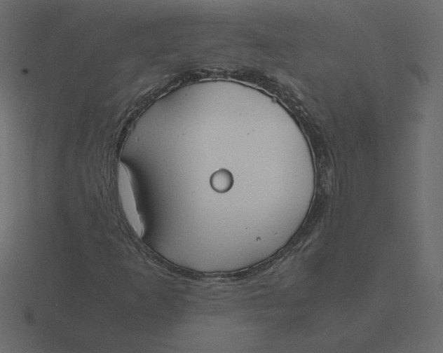 X0000116581253200912241647