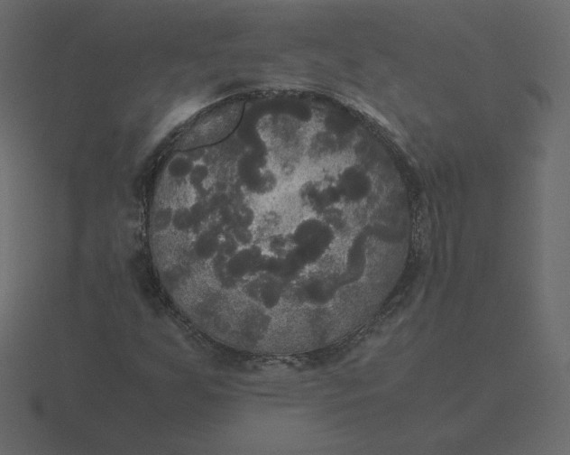 X0000116581255200912241647