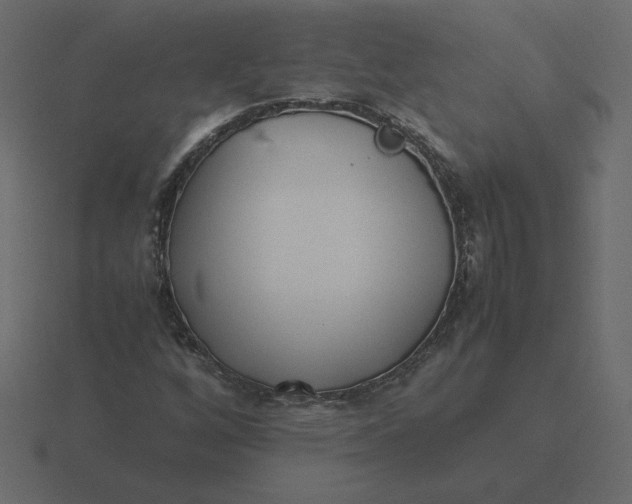 X0000116581256200912241647