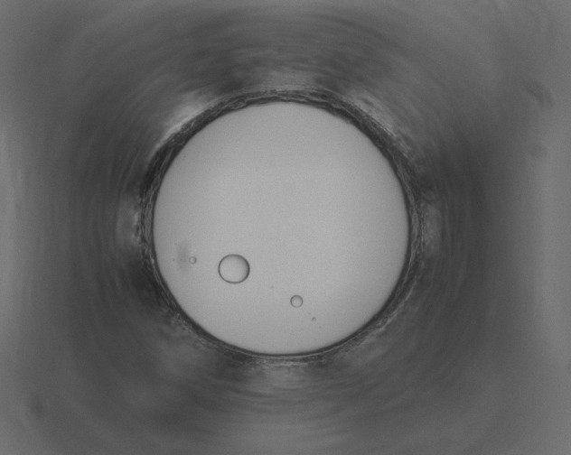 X0000116581258200912241647