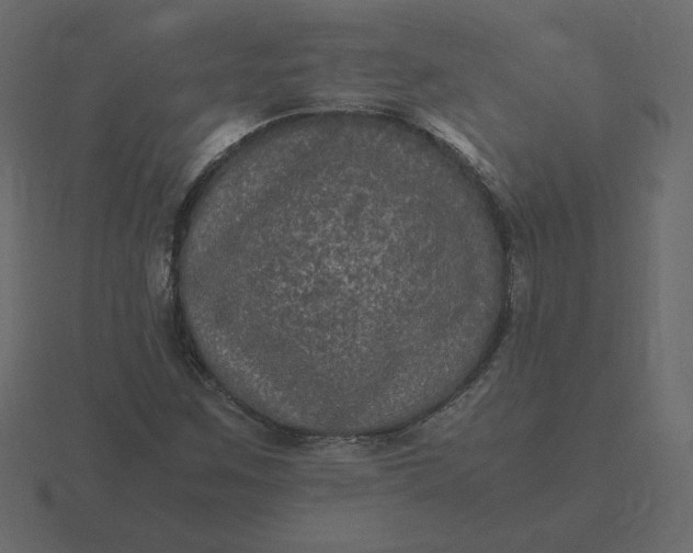 X0000116581259200912241647