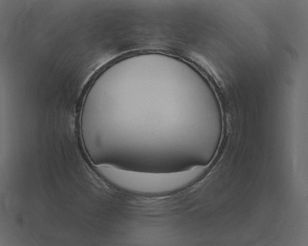 X0000116581260200912241647