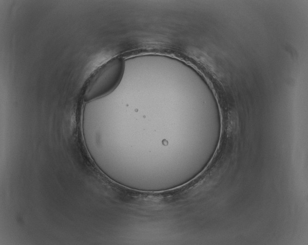 X0000116581261200912241647