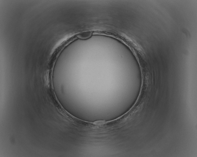 X0000116581262200912241647