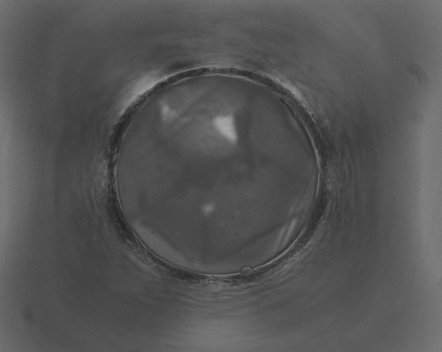 X0000116581263200912241647