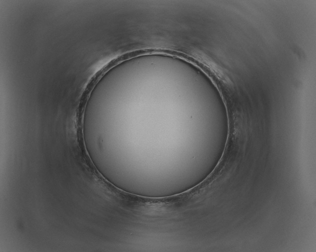 X0000116581264200912241647