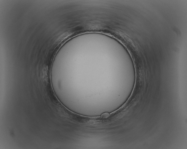 X0000116581265200912241647