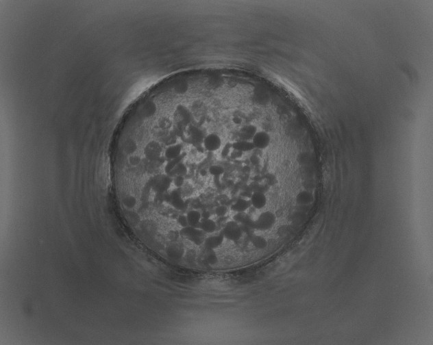 X0000116581267200912241647