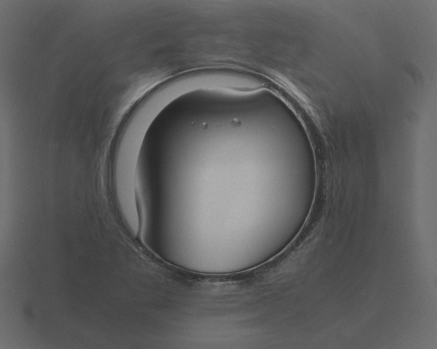 X0000116581269200912241647