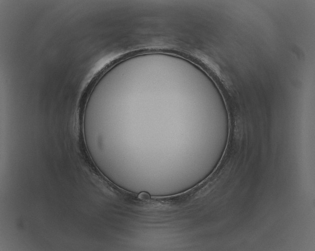 X0000116581270200912241647