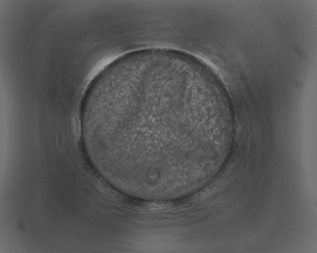 X0000116581271200912241647