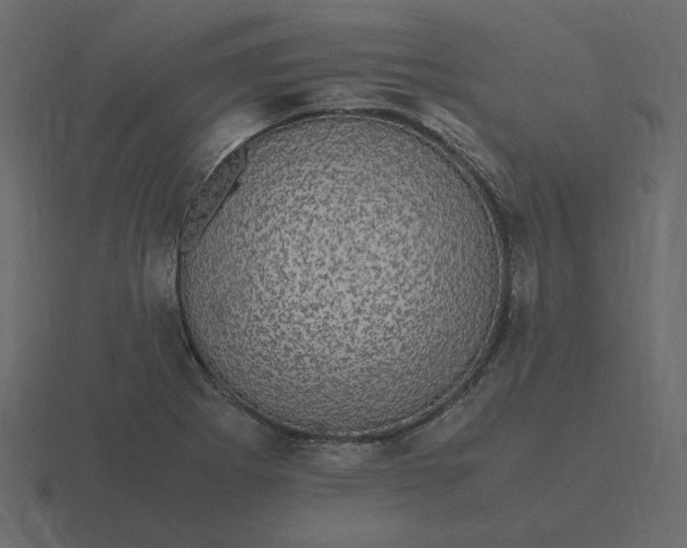 X0000116581273200912241647