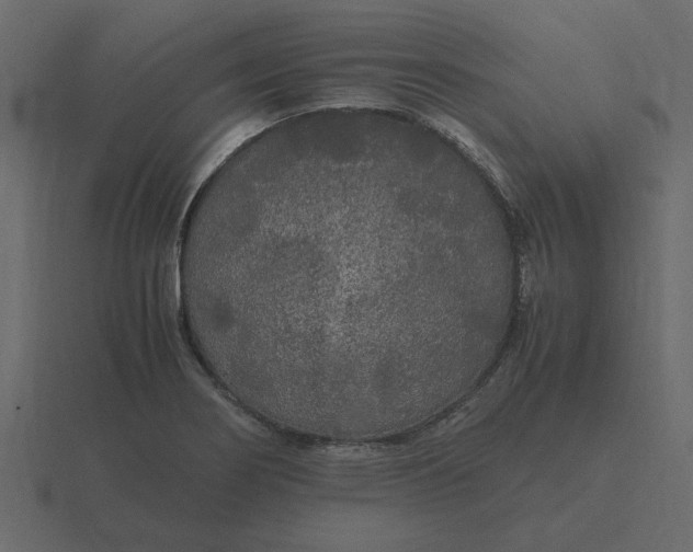 X0000116581274200912241647