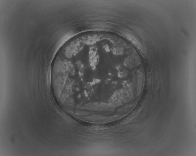 X0000116581275200912241647