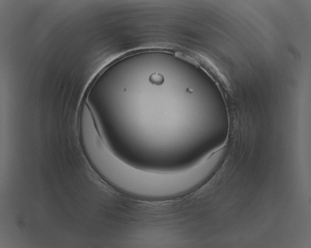 X0000116581276200912241647