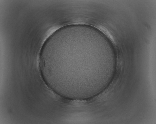 X0000116581277200912241647