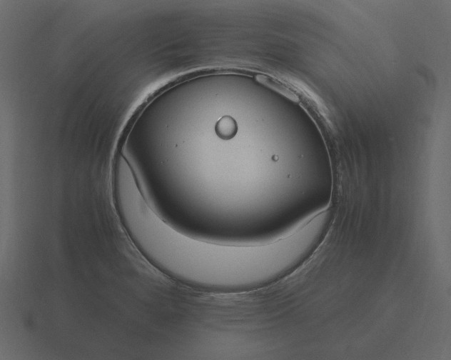 X0000116581280200912241647