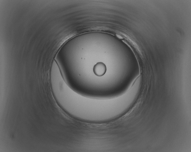 X0000116581281200912241647