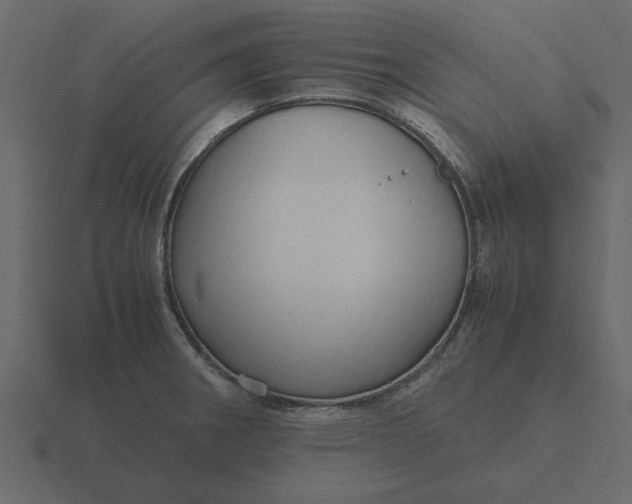 X0000116581282200912241647