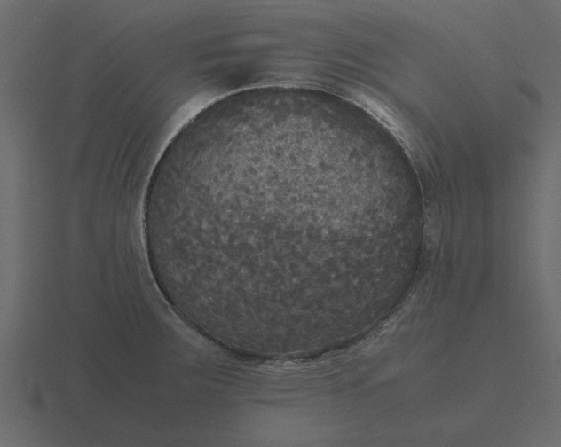 X0000116581283200912241647