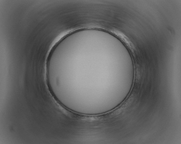 X0000116581286200912241647