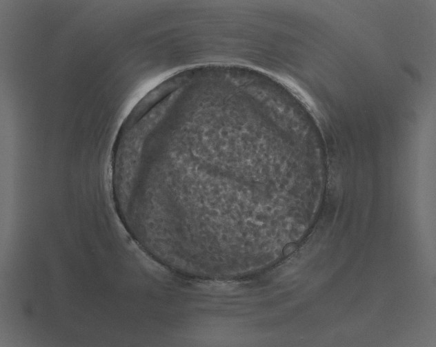 X0000116581287200912241647