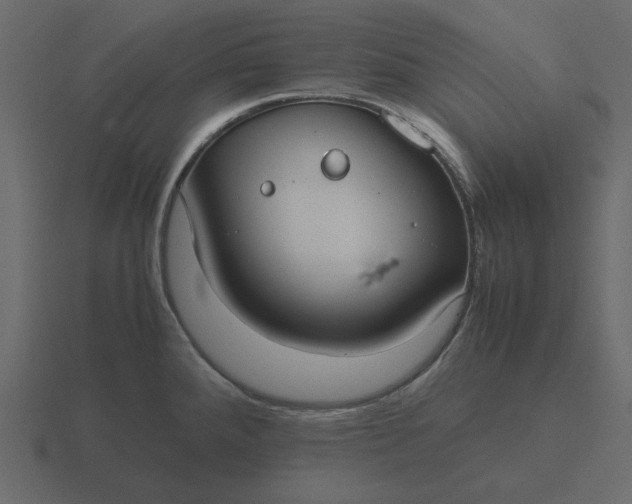 X0000116581288200912241647