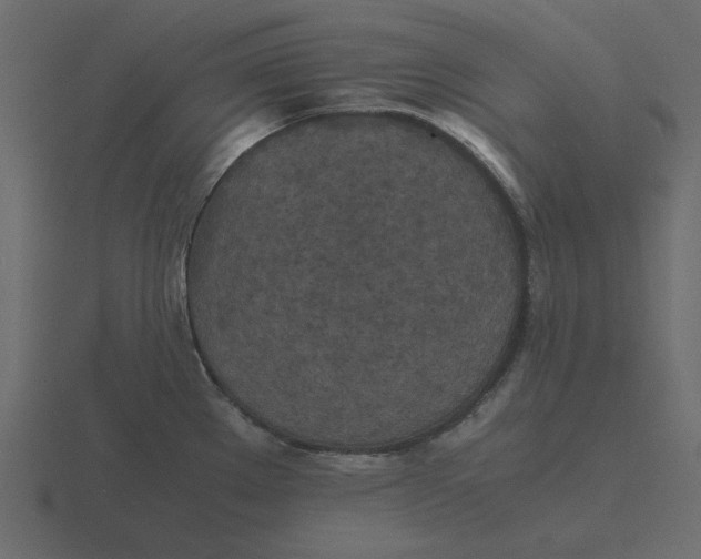 X0000116581289200912241647