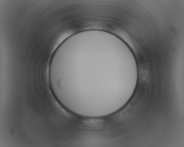 X0000116581290200912241647