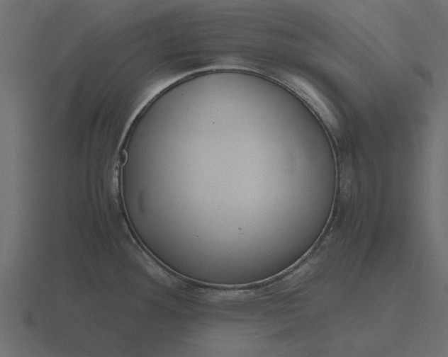 X0000116581292200912241647