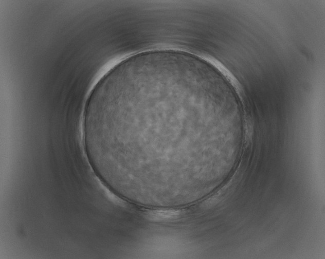 X0000116581294200912241647