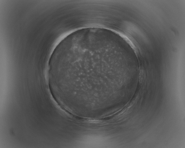 X0000116581295200912241647