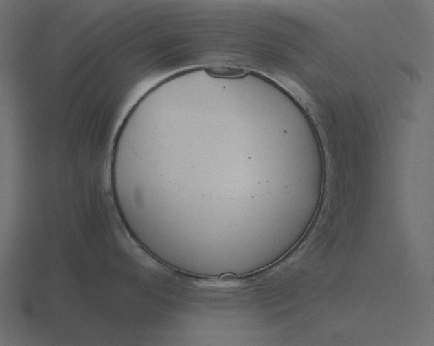 X0000116581296200912241647