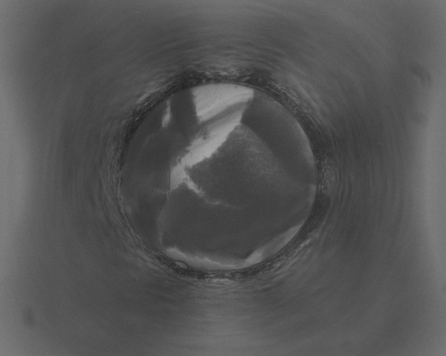 X0000116581297200912241646