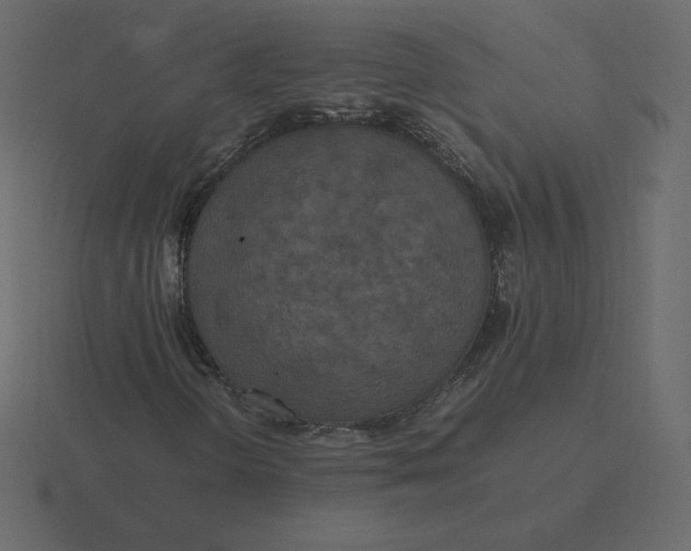 X0000116581298200912241646