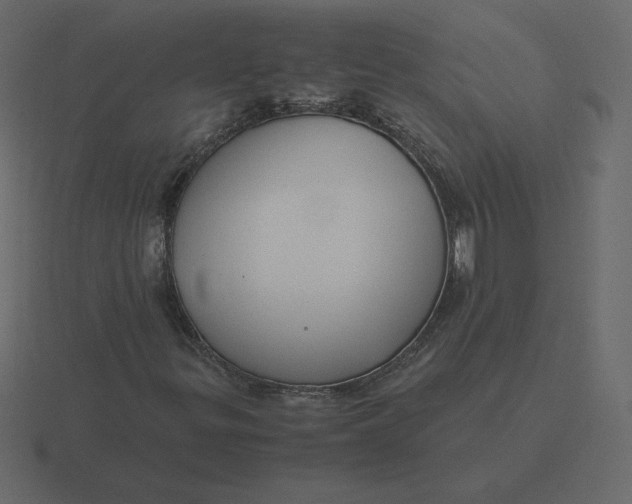 X0000116581299200912241646